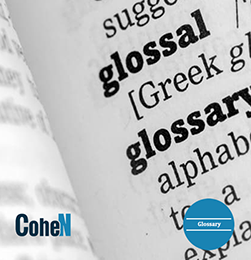 Glossary
